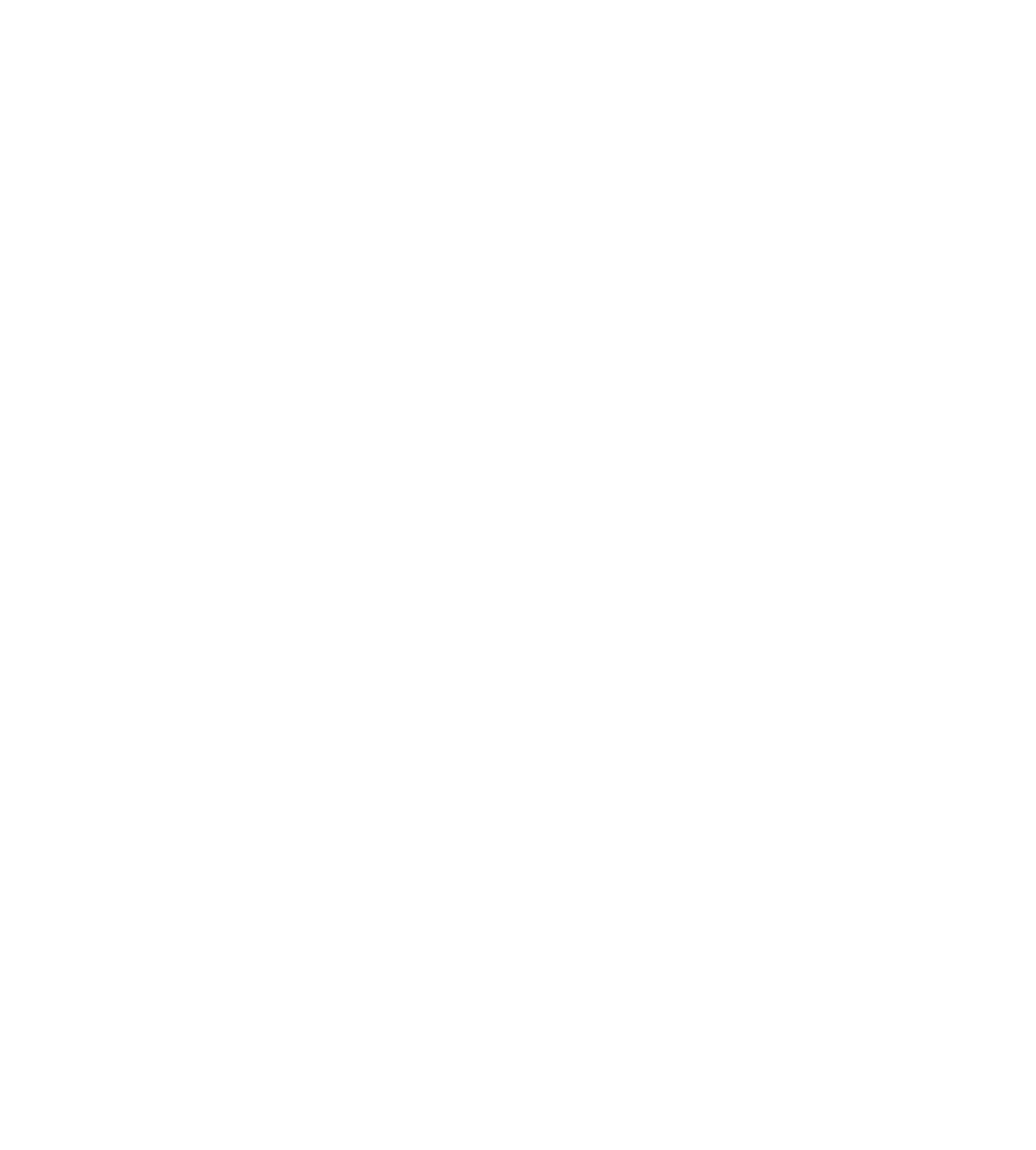Henniger Investment Spółka Akcyjna