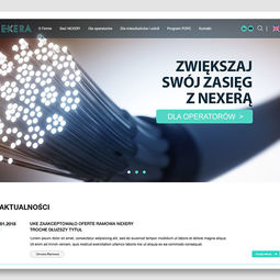 vizual-4.jpg